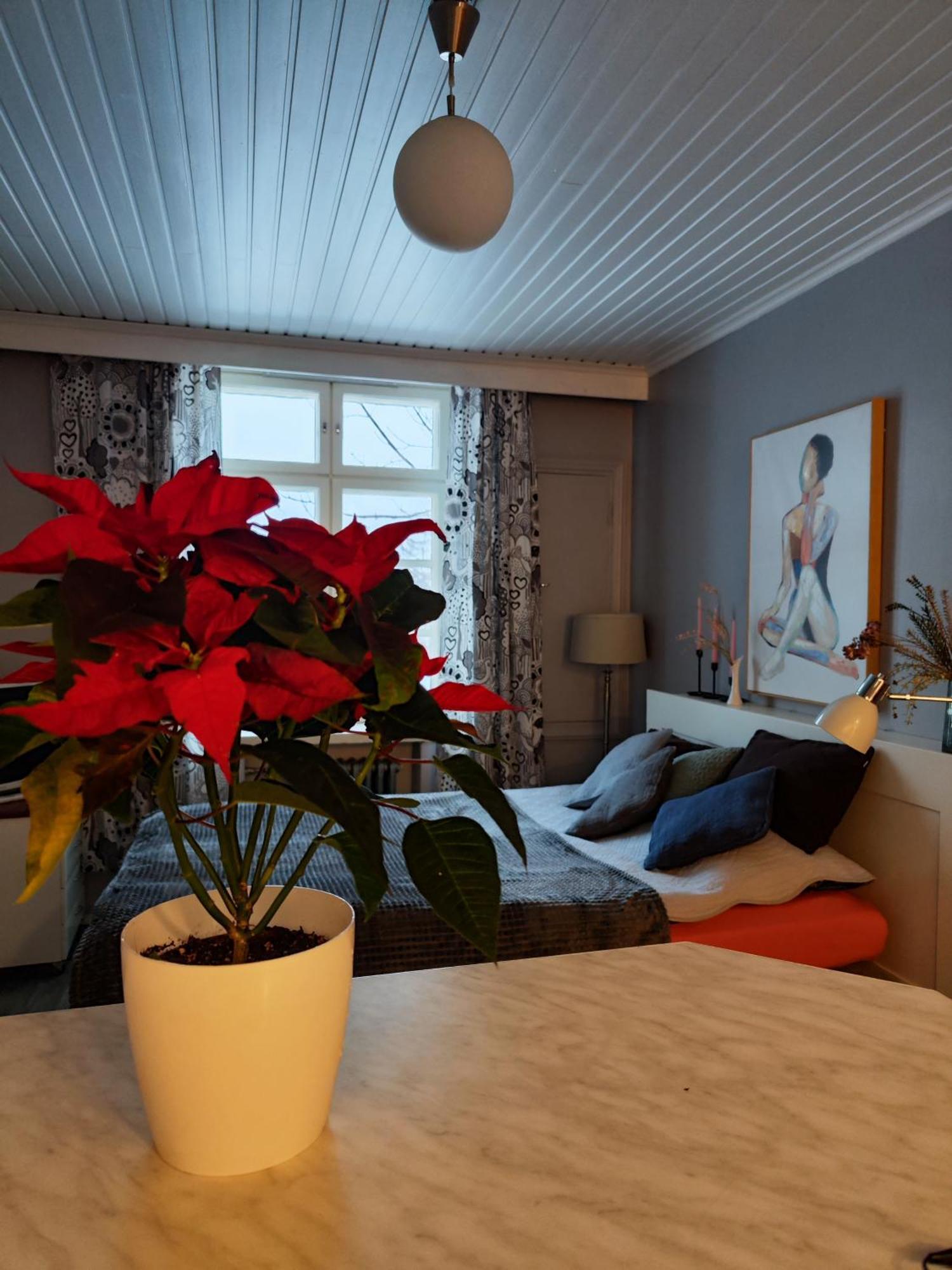 Studio In Kallio هلسنكي المظهر الخارجي الصورة